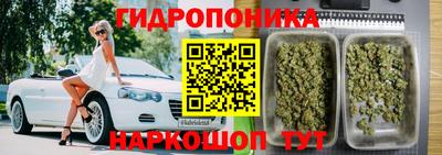 a pvp Ирбит