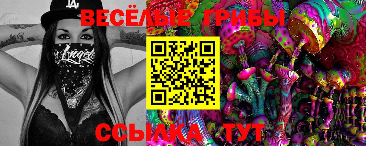 Галлюциногенные грибы MAGIC MUSHROOMS Куйбышев