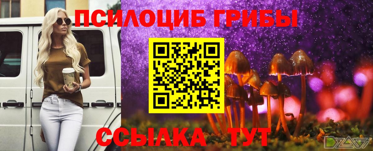 Псилоцибиновые грибы ЛСД  Псилоцибиновые грибы прущие грибы  Куйбышев  Вход с VPN 